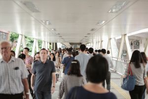 Immigration economy