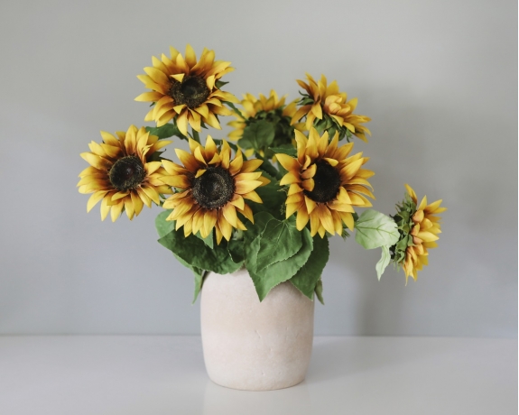 Sunflowers: 极速赛车168官方开奖结果一分钟 极速赛车开奖官网开奖记录查询结果 A Year-Round Ray of Sunshine for Your Home Sunflowers: 极速赛车168官方开奖结果一分钟 极速赛车开奖官网开奖记录查询结果 A Year-Round Ray of Sunshine for Your Home