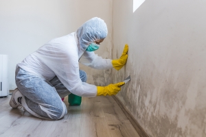 IN MIAMI, FLORIDA, MOLD TESTING SERVICES