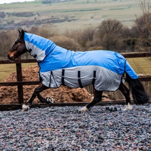 How Do I Ensure the Rug Fits My Horse Properly Without Restricting Movement or Causing Rubbing?