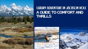 Thrilling Comfort in Jackson Hole
